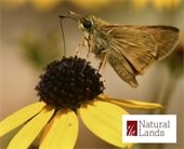 Nature Lands: Lecture Series