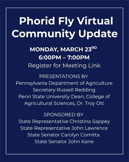 Flyer for Phorid Fly Virtual Meeting
