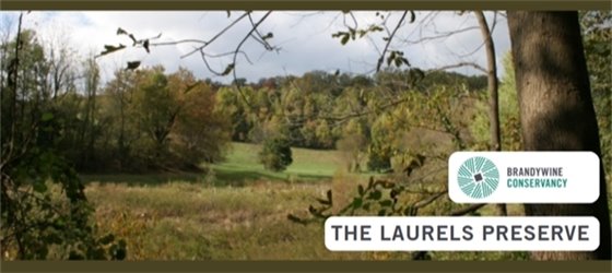 The Laurel Preserve